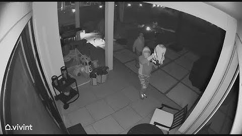 Video shows masked suspects use Wi-Fi jammer during break-in, say Bellaire police