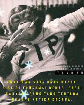 story wa quotes 30 detik reggae