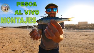 TUTORIAL PESCA AL VIVO🔴Y SURFKAYAK MONTAJES CEBOS ETC