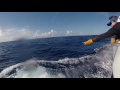 2017 Bermuda Billfish Blast | Team Fa La Me | White Marlin