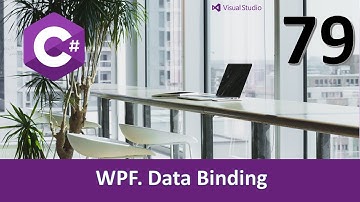 Curso C#. WPF Data Binding. Vídeo 79