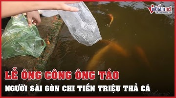 Người dân TP.HCM chi tiền triệu phóng sinh cá ngày ông Công ông Táo | Vietnamnet
