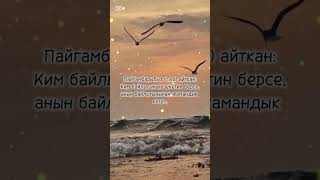 Зекет жамандыкты жок кылат