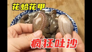 洗花蛤时，别只会加盐！老渔民：教你一招，花蛤疯狂快速吐沙