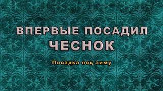 Впервые посадил чеснок (Посадка под зиму)