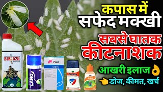 कपास में सफेद मक्खी पर नियंत्रण whitefly control in cotton | Top Insecticide, Lano, Plolo, SLR 525