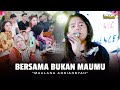 Maulana Ardiansyah - Bersama Bukan Maumu (Live Ska Reggae)