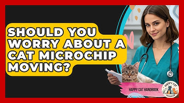 Should You Worry About A Cat Microchip Moving? - Happy Cat Handbook