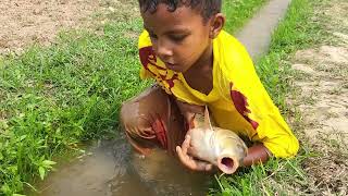 Amazing New Big Fish Catching By Hand | Traditional Boy Big Fish Catch By Hand in Drain Mud Water