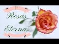 ¿ROSAS QUE DURAN POR SIEMPRE?  DIY / EXPERIMENTO | Pabla en casa