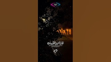 سورة القلم  #quran #هدوء_النفس #shortvideo #اكسبلور