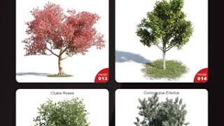 [Download] Evermotion – Archmodels Vol. 154 : plants and trees