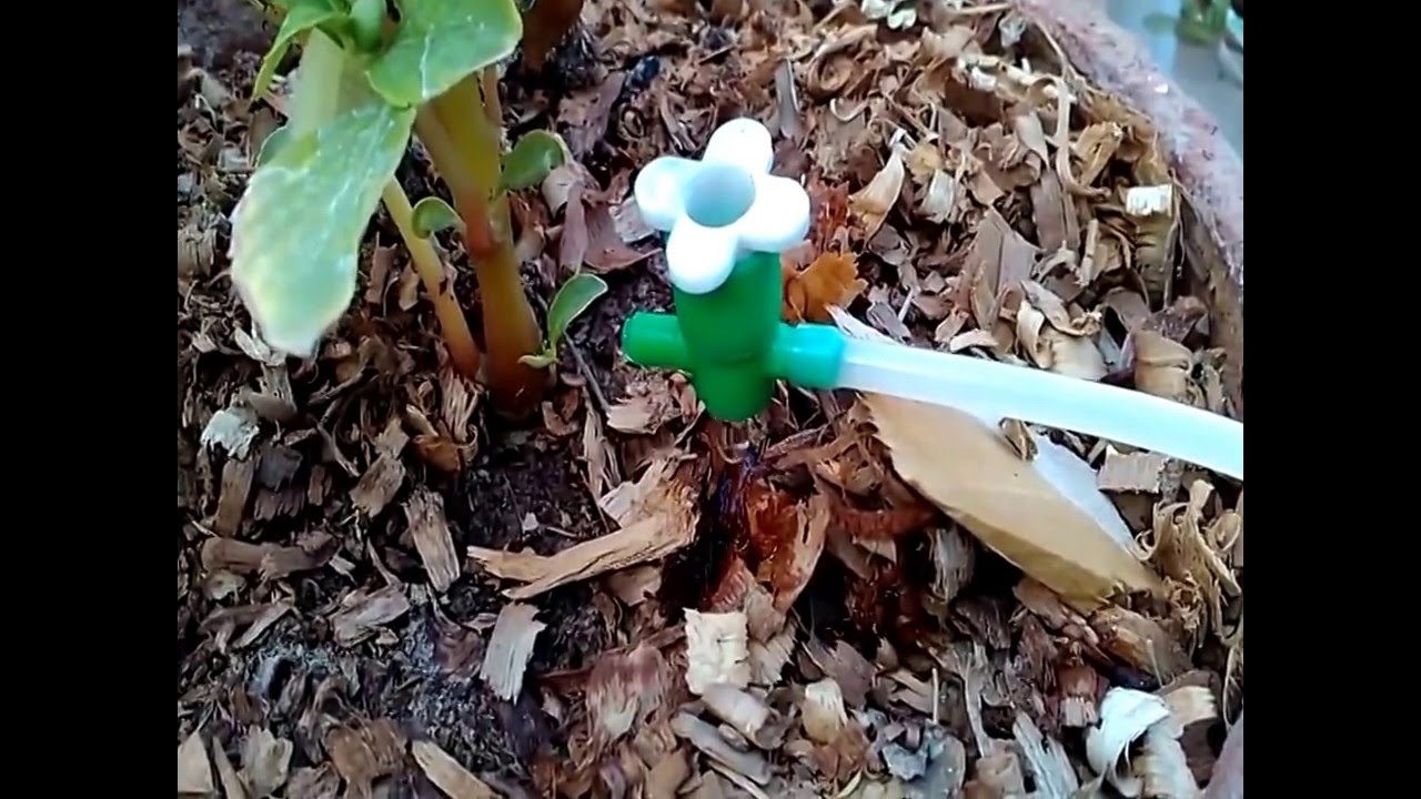 Diy Drip Irrigation For Home Garden - YouTube