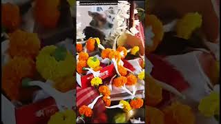 আকাশ তারায় ভরা             shOrTvidEovirAL shOrTfeed emOTiOnALsTaTus sAdsTaTus dOGLOvEr