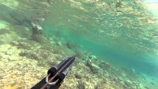 Underwater hunting with spear and gun in Croatia