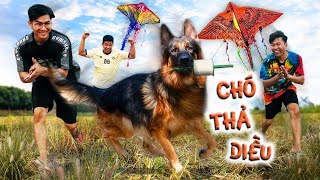 Quang BM | Thử Thách Chó Thả Diều | Dog Flying Kite Challenge