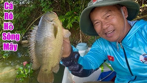 Khởi Động Mùa Câu Cá RÔ ĐỒNG Tại Hồ SÔNG MÂY / Fishing boat