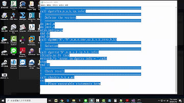 BLAS  Tutorial for Lahey  ; Lahey軟體教學範例