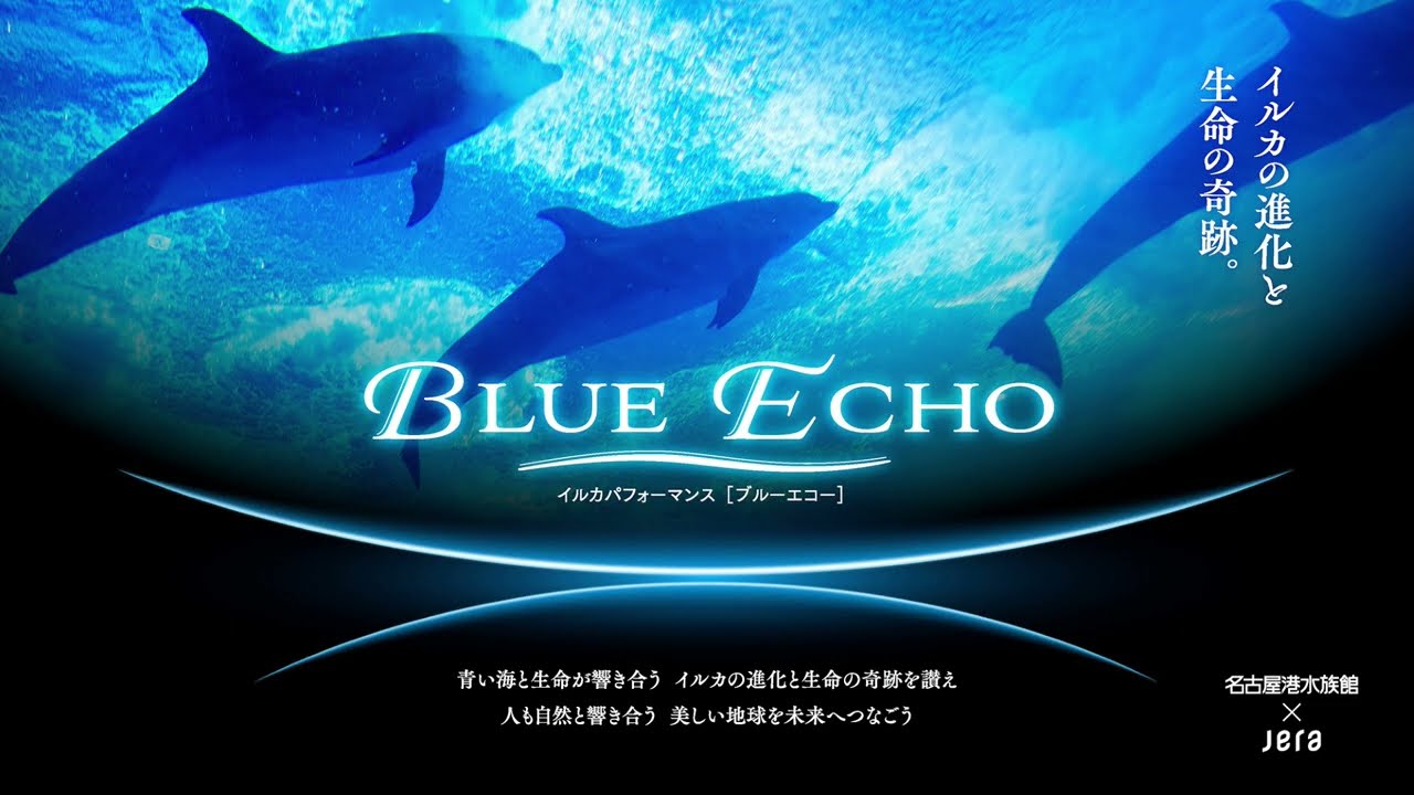 群青イルカ◆自己紹介参照 f322d624-8704-4c59-ac75-