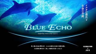 イルカパフォーマンス BLUE ECHO まもなく！！ - YouTube