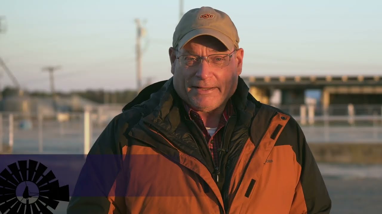 Crossing Beef & Dairy Cattle Genetics?