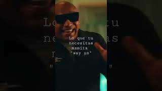 "SOY YO " Don Omar || Gente De Zona || Wisin