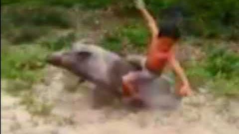 Cười Vỡ Bụng, Cười Rụng Rốn, Cười Rơi Răng, Cười Sặc Tiết, Cười Đứt Ruột, Cười Thả Ga