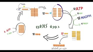 screenshot of the youtube video