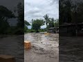 Massive floods | Real footage #viral #trending #floods #flood #Disaster #nature #viral