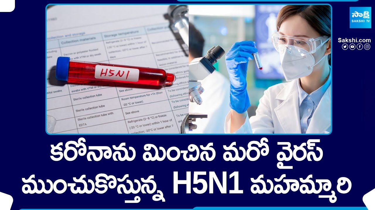 High Alert on H5N1 Bird Flu Spread : Most Dangerous Virus Than Covid ...