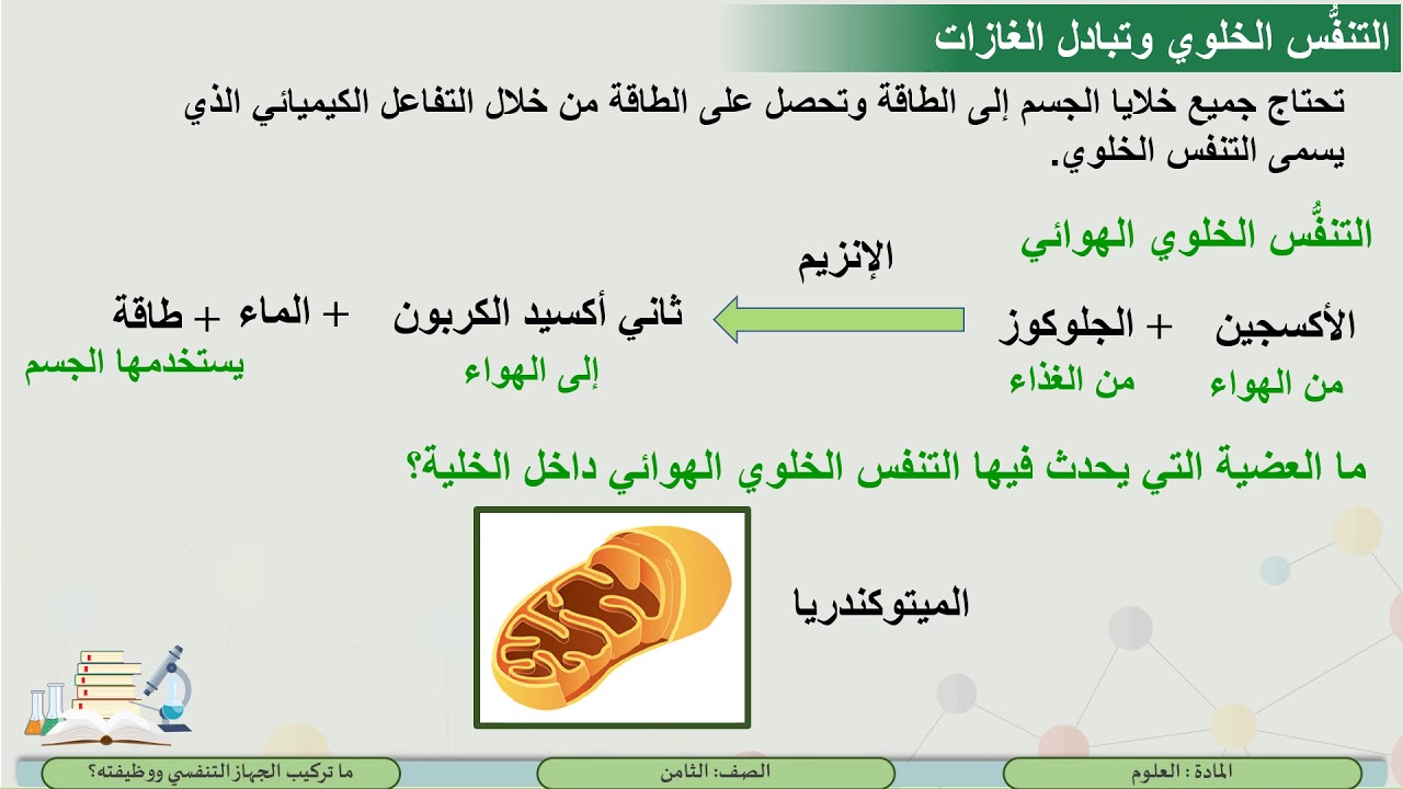 المستوى الثامن   العلوم   ما تركيب الجهاز التنفسي ووظيفته؟