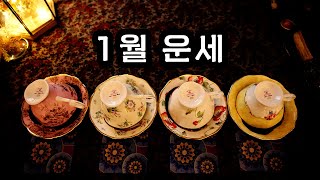[타로/커피점술] 한해의 시작, 1월에 일어날 일