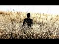 Pink Martini - Splendor in the Grass | Official Music Video - Grand Prize Winner