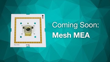 Mesh MEA for organoid research | Teaser