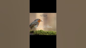 الشيخ خالد الجليل -  سورة الأنبياء 1