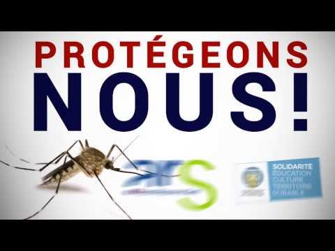 Vidéo: Une évaluation De L'efficacité De La Technique D'auto-diffusion Comme Outil De Lutte Contre Aedes Aegypti à Madère, Portugal
