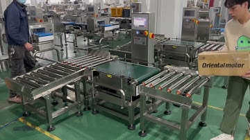 Fanchi-tech Dynamic High-load End of Line Checkweighers FA-CW500