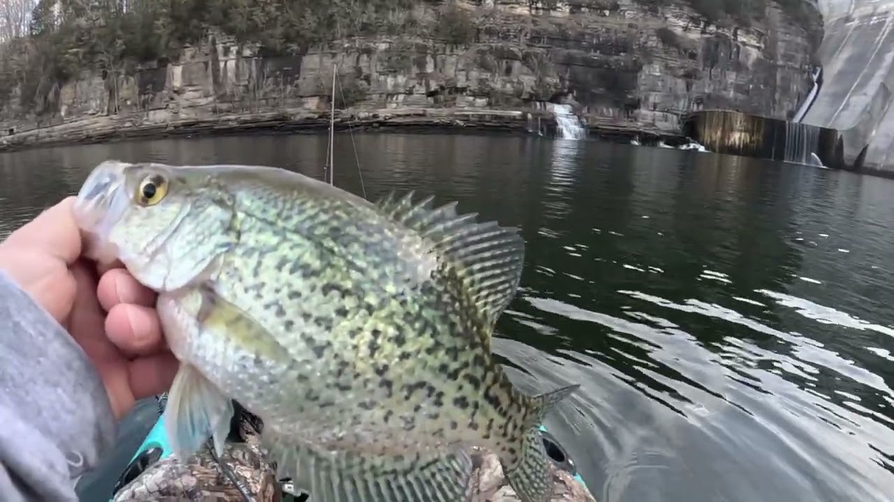 CENTER HILL CRAPPIE BEATDOWN, LIMIT!?