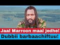 Yaada Murteessituu Jaal Marroon Kennee Ture 