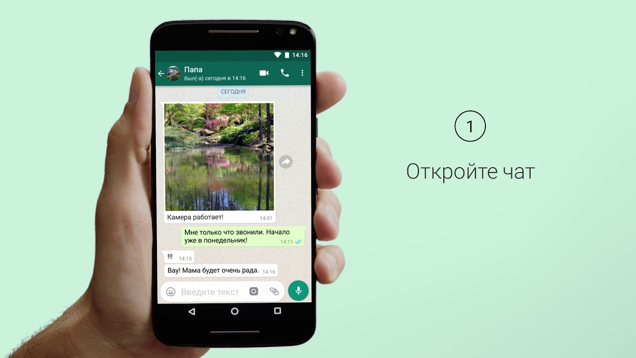 Whatsapp Faq Zvonki Whatsapp