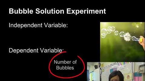 Hypothesis and Variables