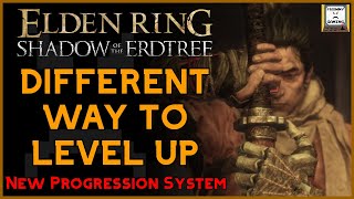 A New Way To Level Up | Elden Ring: Shadow of the Erdtree