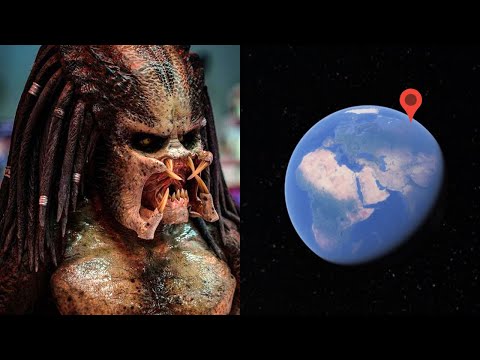 Prey PREDATOR on