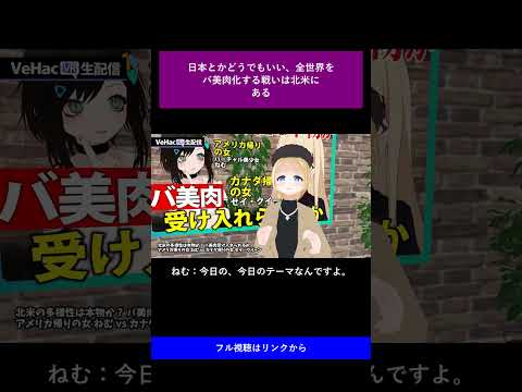 日本とかどうでもいい、全世界をバ美肉化する戦いは北米にある