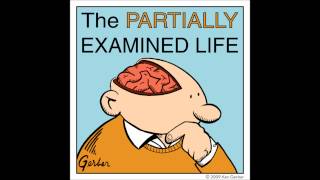 Partially Examined Life podcast - Carnap - Aufbau