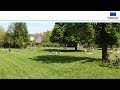 European Environment Agency Live Stream