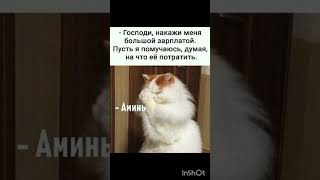Всем привет у меня начинающий канал по приколам каждый день приколы анекдоты  подержите подпиской