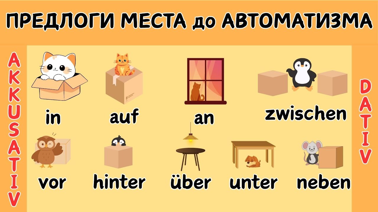 Тренажер | Предлоги места в немецком языке! А1 А2 🚀🇩🇪