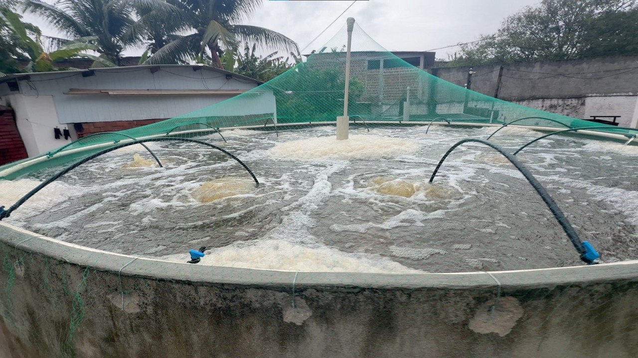 Preparação Do Piso, e Da Oxigenação Do Tanque Das Tilápias / DICA VALIOSA!!