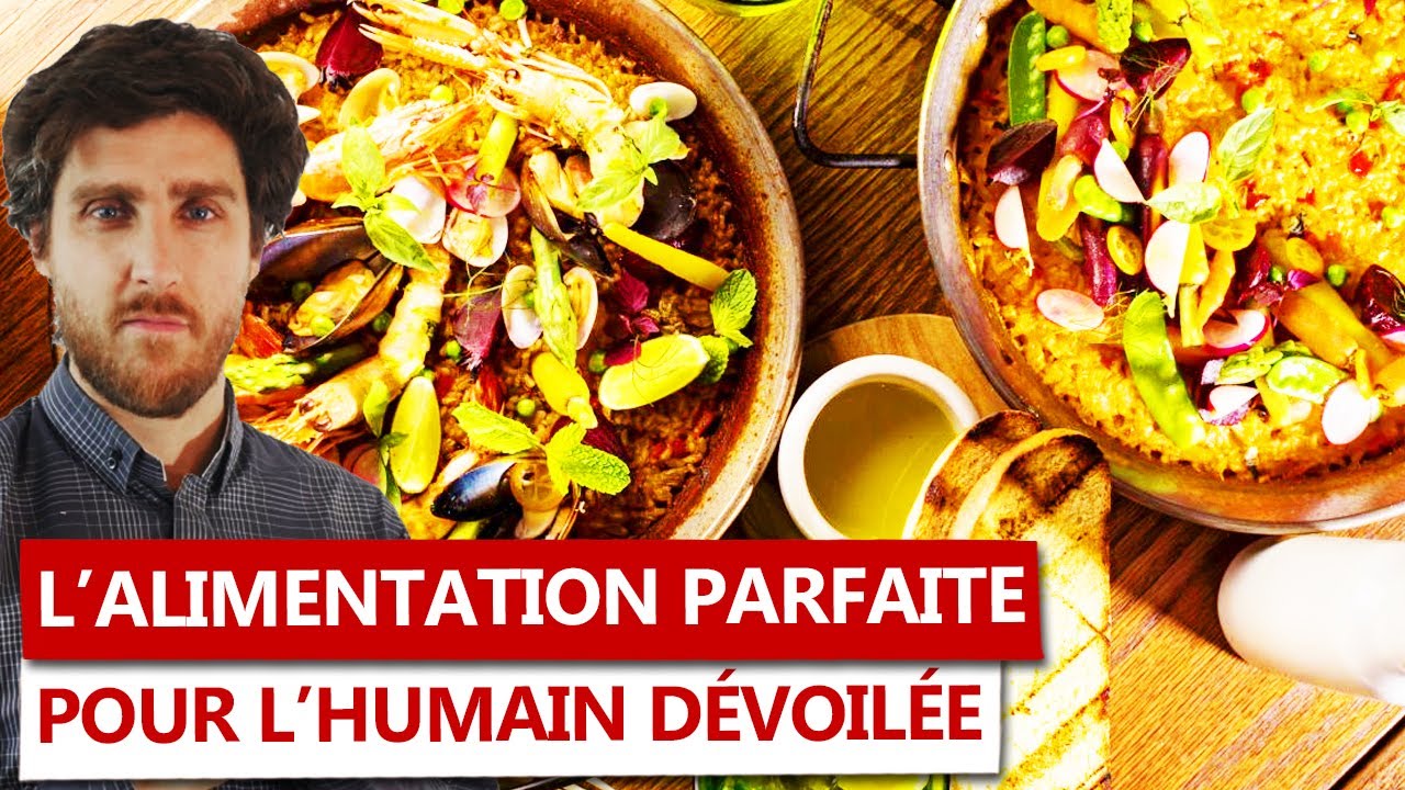 La réalité que personne ne vous dit sur le régime IDEAL de l'Humain...